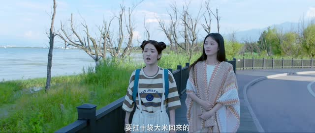 向北的遗憾（20集）在线观看全集