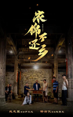 衣锦不还乡（69集）精彩连连免费看