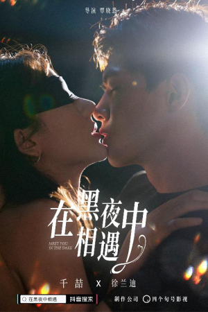 在黑夜中相遇（32集）网盘在线观看