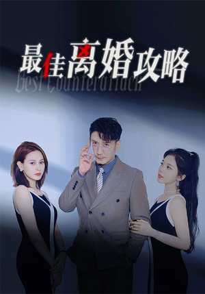 最佳离婚攻略(31集) 最佳离婚攻略(31集)高分推荐免费看