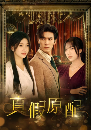 真假原配（35集）全集在线看