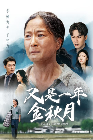 又是一年金秋月（55集）超甜短剧分享