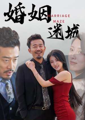 婚姻迷城（97集）评价怎么样