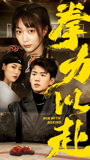 拳力以赴（80集）口碑之选免费看