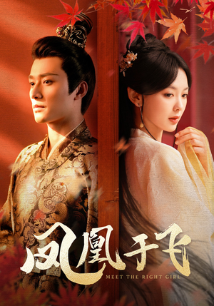 凤凰于飞（79集）熬夜追短剧