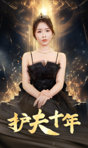 护夫十年（71集）热播短剧全集看