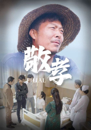 敬孝（61集）热门短剧来袭