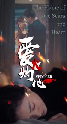 爱火灼心（99集）短剧小说在线看