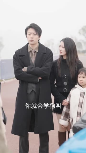 镇天龙（100集）这部短剧太好看