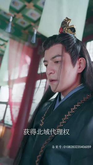 王行天下（100集）短剧有好货推荐