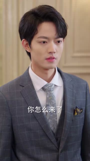 褚总夫人要离婚（94集）短剧解说热门