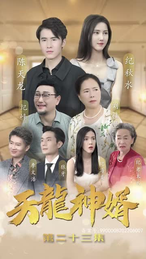 天龙神婿（80集）爱上了这部剧了