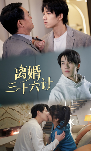 离婚三十六计（96集）好看的短剧