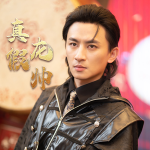 真假龙帅（81集）第一季