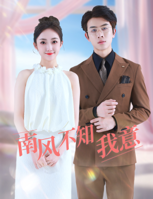 南风不知我意（81集）免费看短剧