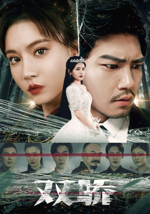 双骄（66集）独家短剧免费看