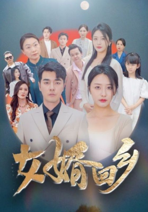 女婿回乡（120集）在线看