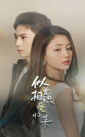 似曾相识爱归来（77集）解说