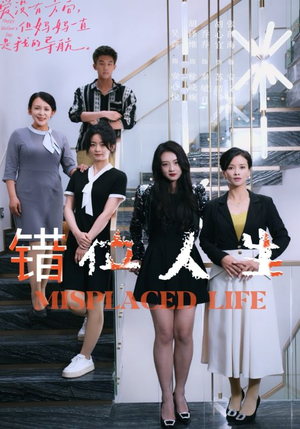 错位人生（89集）经典回顾免费看