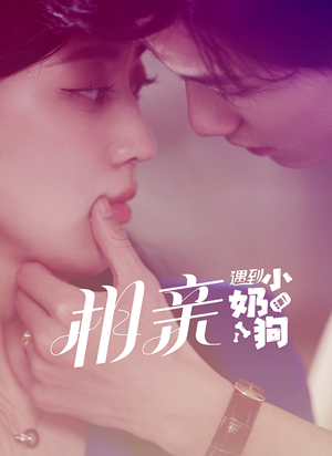 相亲遇到小奶狗（80集）热门短剧追不停