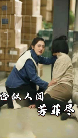 恰似人间芳菲尽（68集）80到100集