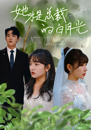 她才是总裁的白月光（90集）短剧全集免费看