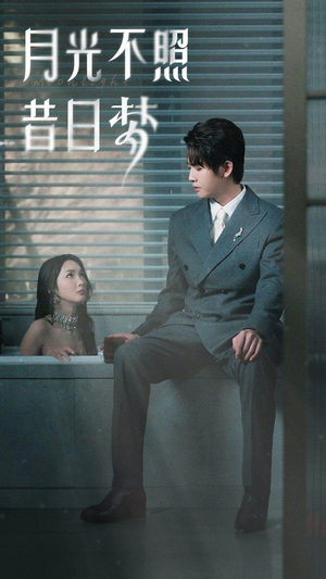 月光不照昔日梦（79集）短剧小说在线看