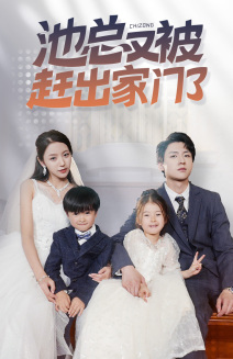 池总又被赶出家门了（72集）全集一次看完