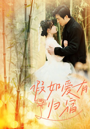 假如爱有归宿（73集）我真的爱了
