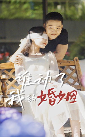 谁动了我的婚姻（24集）热门短剧追到爽