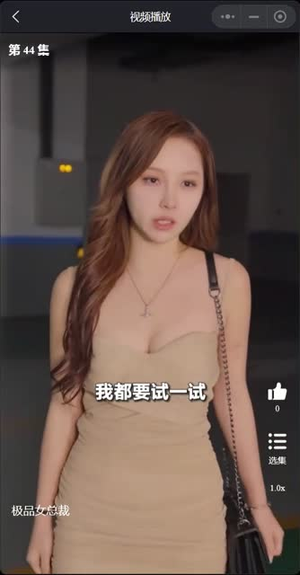 我的富豪美女总裁（我的极品女总裁）短剧免费看全集
