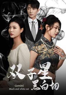 双子星黑白切（82集）热播短剧重燃