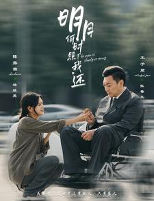 明月何时照我还（87集）短剧热门合集