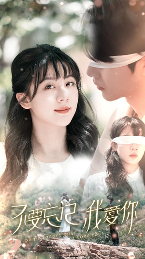 不要忘记我爱你（69集）百度网盘在线看