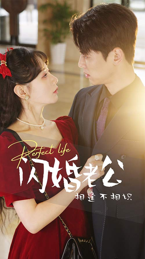 闪婚老公相逢不相识（90集）精彩好看的短剧