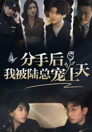 分手后，我被陆总宠上天（76集）最热短剧推荐