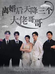 离婚后天降三个大佬哥哥（83集）好看短剧又来了