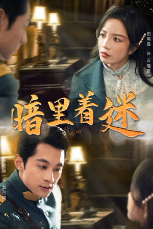 纵意招惹（97集）高清画质免费看