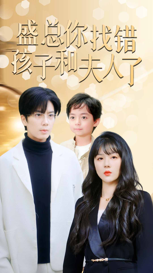 盛总你找错孩子和夫人了（82集）免费版