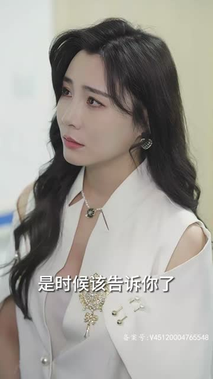 权御天下（95集）评价怎么样