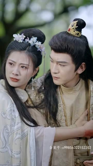 相亲相到腹黑皇帝（冷宫贵妃升职记）免费观看全集