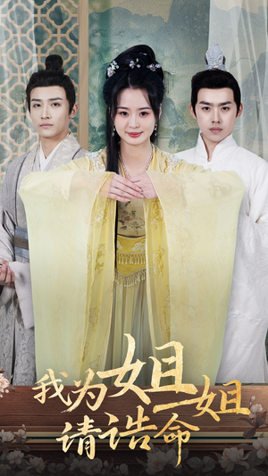 我为姐姐请诰命（65集）一共多少集