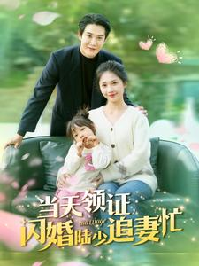 当天领证闪婚陆少追妻忙（80集）河马免费短剧