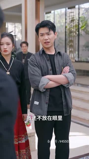 潜龙出山之我为王（100集）热播短剧免费看