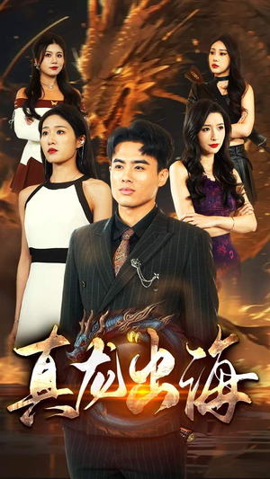 真龙出海（80集）无需会员免费看