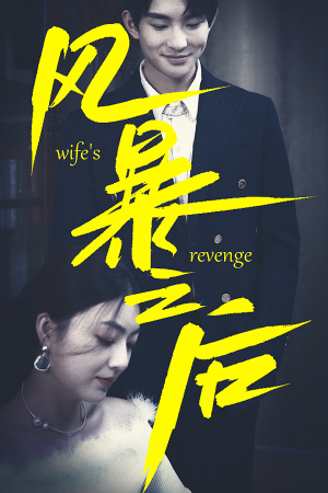 风暴之后（80集）热门短剧排行榜