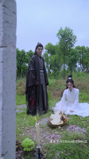 王妃复仇记（70集）1-102集