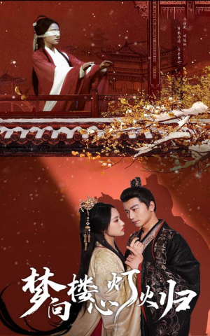 梦向楼心灯火归（37集）免费看