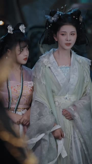 不负昭华（52集）经典老剧免费看