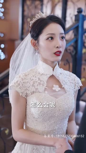 新版：龙腾（91集）在线看到大结局